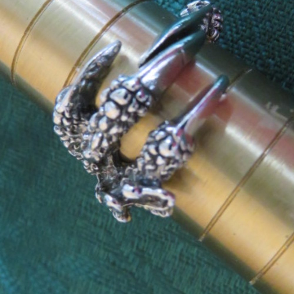 nwot DRAGON Claw Ring Titanium Steel Size 8.5 (K213)